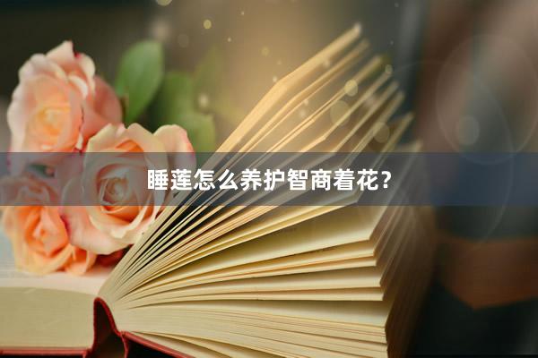 睡莲怎么养护智商着花？