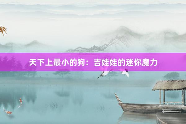 天下上最小的狗：吉娃娃的迷你魔力