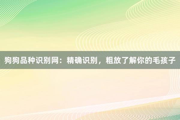 狗狗品种识别网：精确识别，粗放了解你的毛孩子